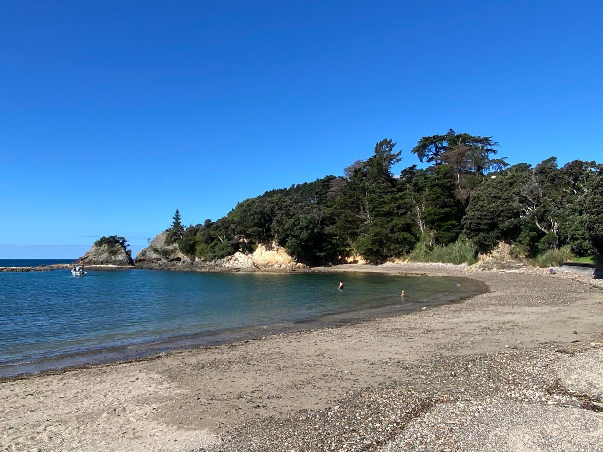 Kereru Cabin - Spectacular Seaviews, Rustic, Glamping Eco Adventure Palm Beach 외부 사진