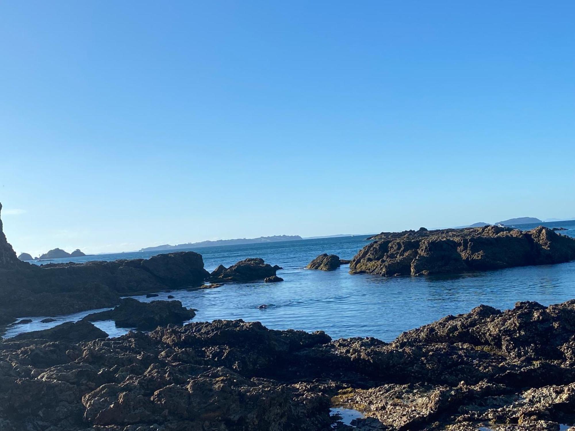 Kereru Cabin - Spectacular Seaviews, Rustic, Glamping Eco Adventure Palm Beach 외부 사진