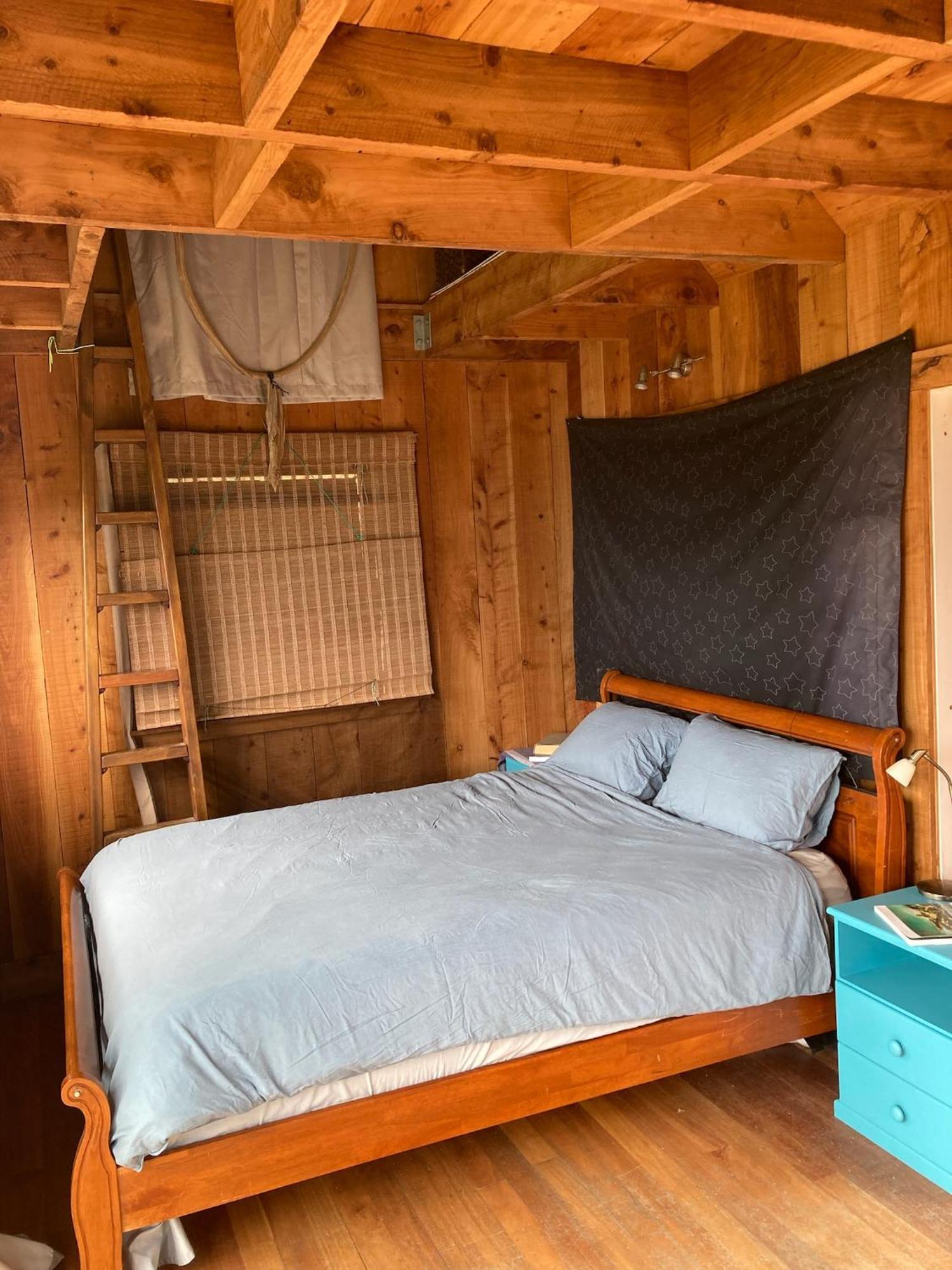 Kereru Cabin - Spectacular Seaviews, Rustic, Glamping Eco Adventure Palm Beach 외부 사진